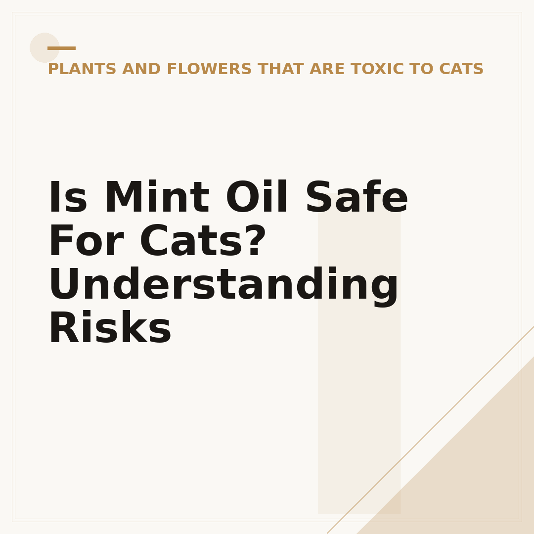 Is Mint Oil Safe For Cats? Understanding Risks