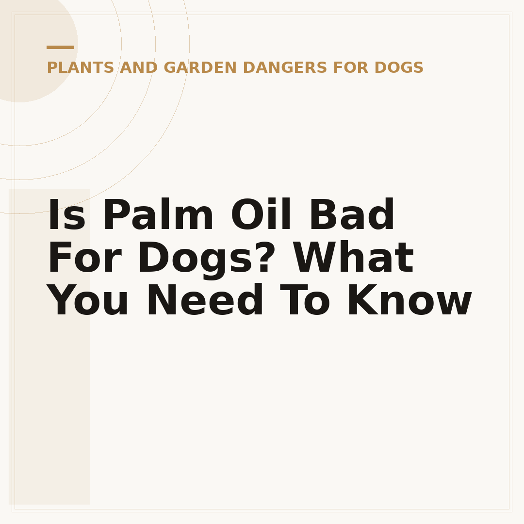 Is Palm Oil Bad For Dogs? What You Need To Know