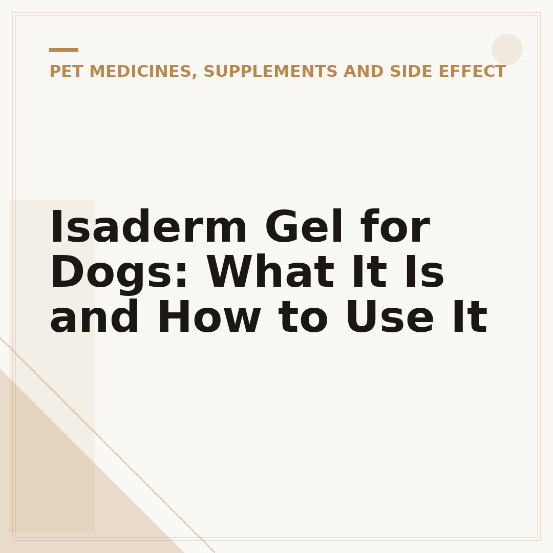 Isaderm Gel for Dogs: What It Is and How to Use It