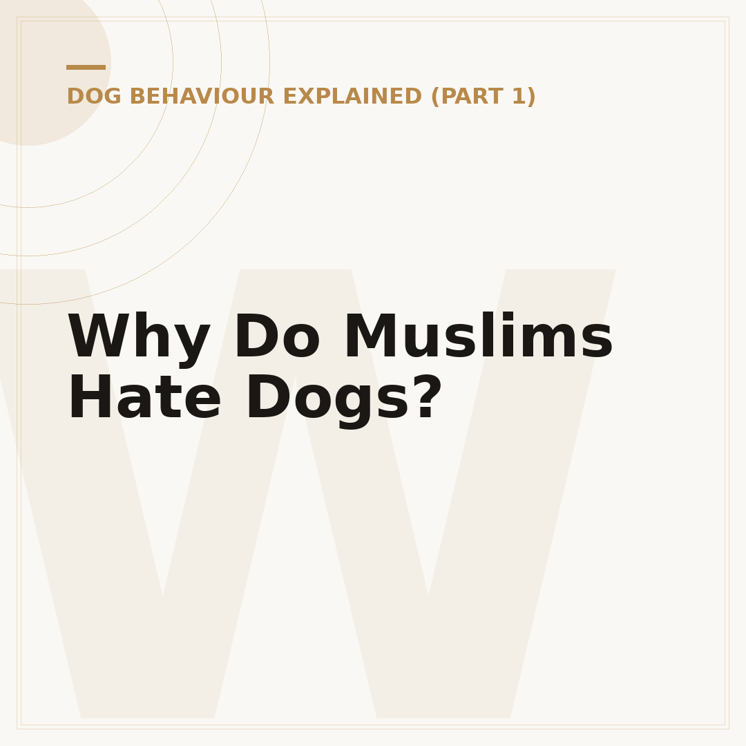 Why Do Muslims Hate Dogs?