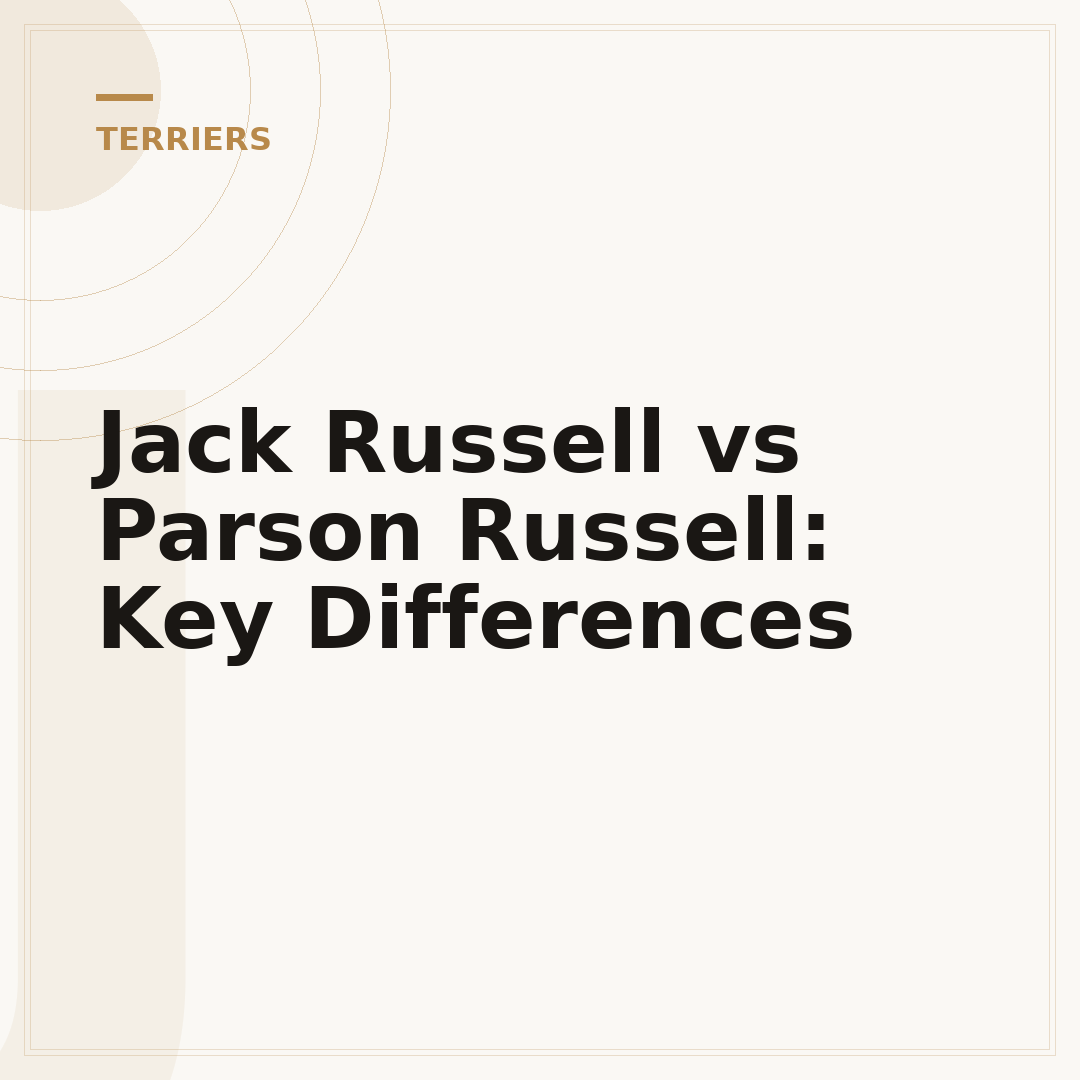 Jack Russell vs Parson Russell: Key Differences
