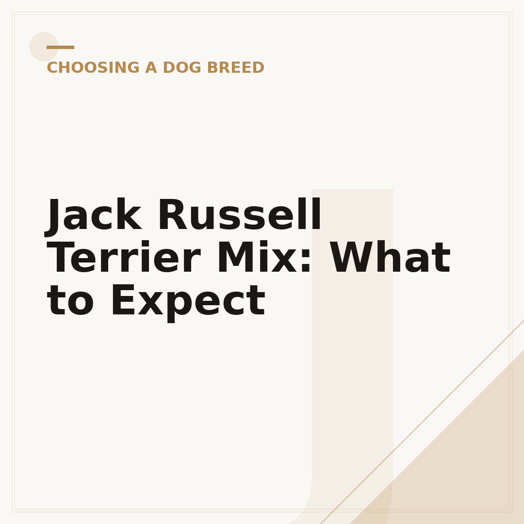 Jack Russell Terrier Mix: What to Expect
