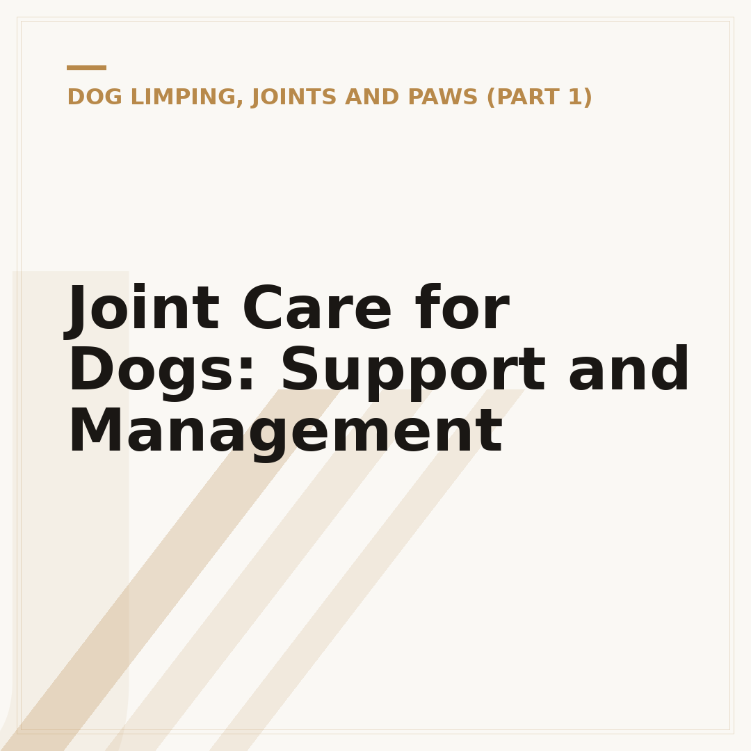 Joint Care for Dogs: Support and Management