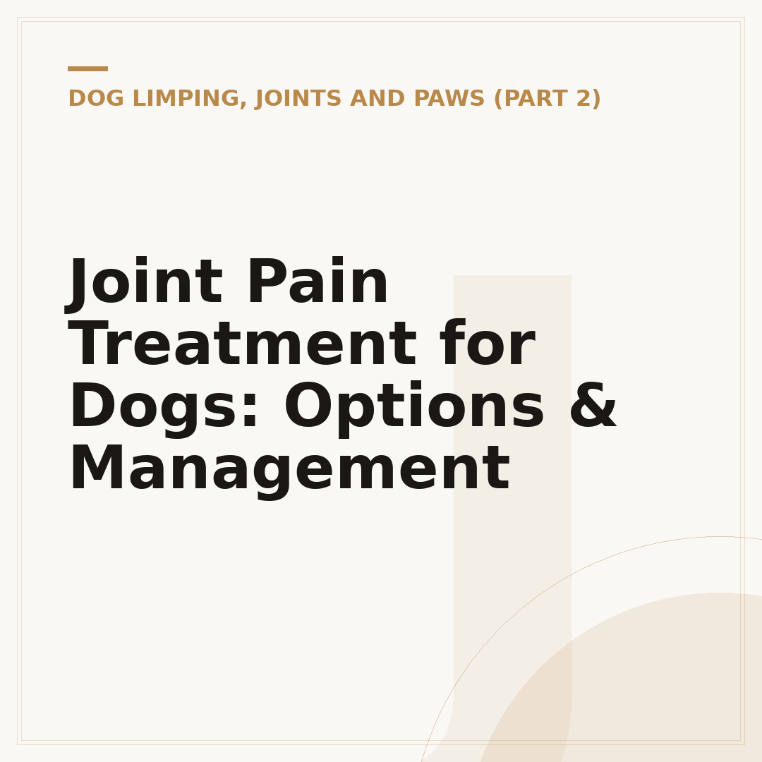 Joint Pain Treatment for Dogs: Options & Management