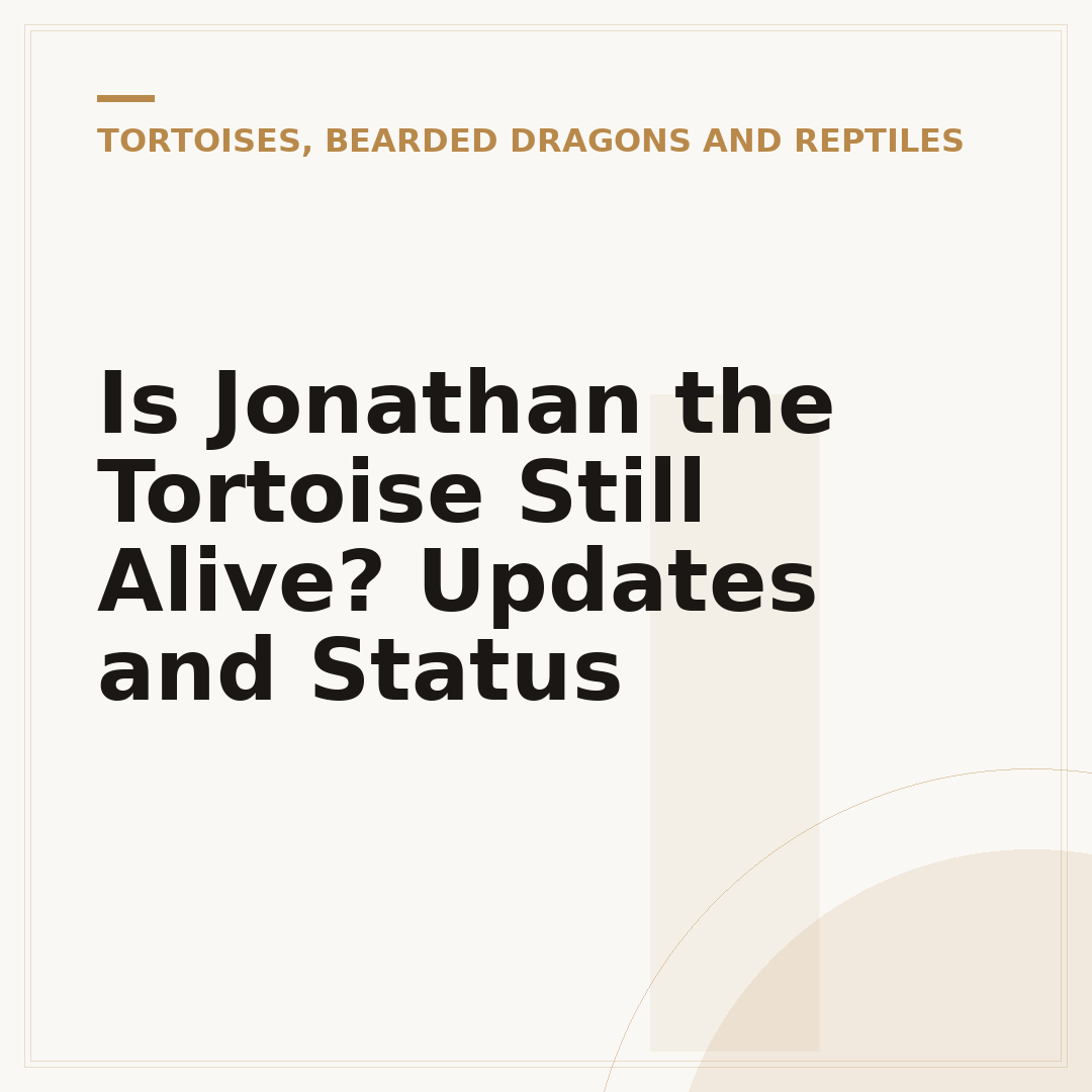 Is Jonathan the Tortoise Still Alive? Updates and Status