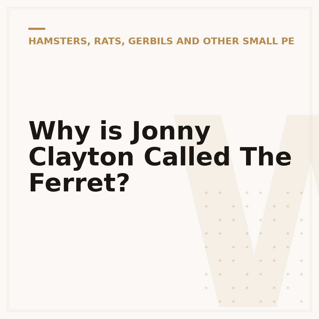 Why is Jonny Clayton Called The Ferret?