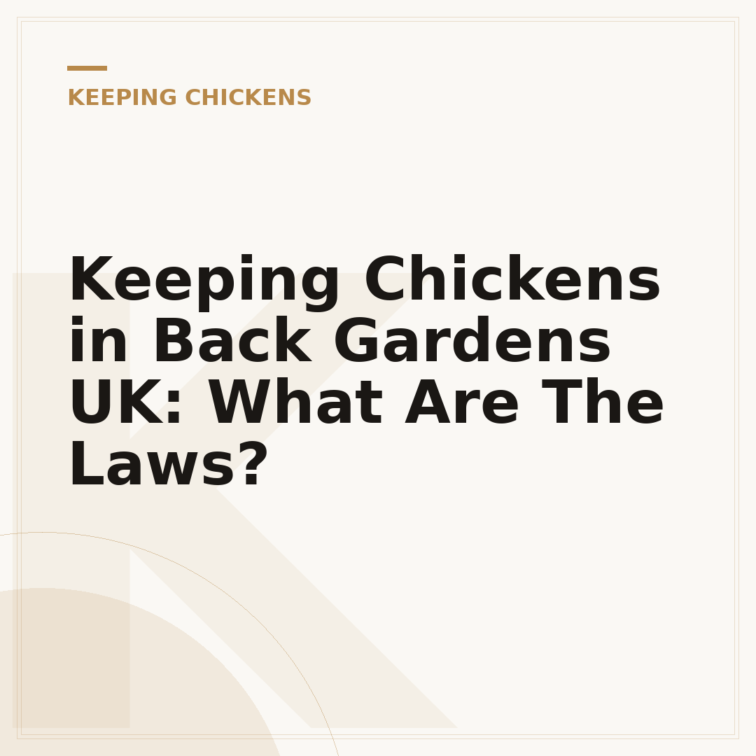Keeping Chickens in Back Gardens UK: What Are The Laws?