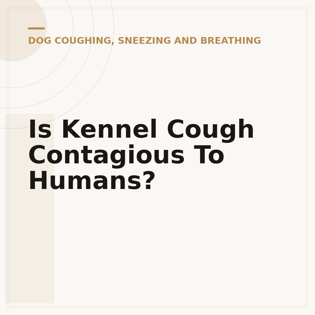 Is Kennel Cough Contagious To Humans?