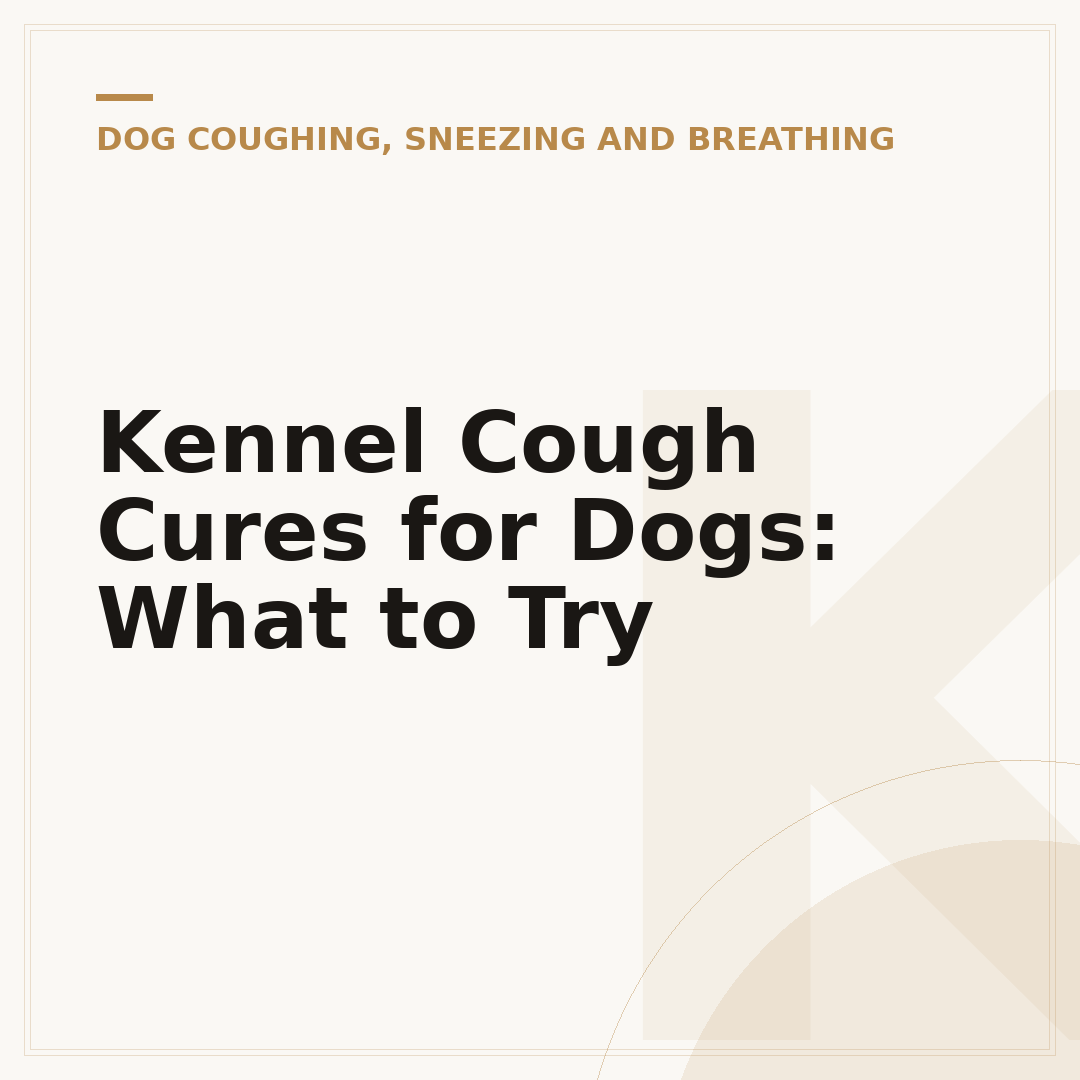 Kennel Cough Cures for Dogs: What to Try