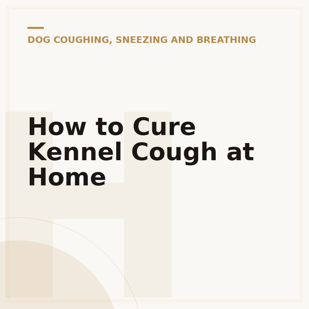 How to Cure Kennel Cough at Home