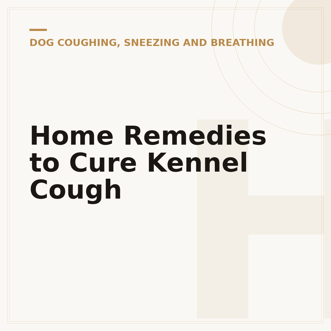 Home Remedies to Cure Kennel Cough