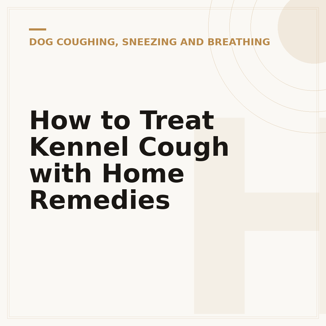 How to Treat Kennel Cough with Home Remedies