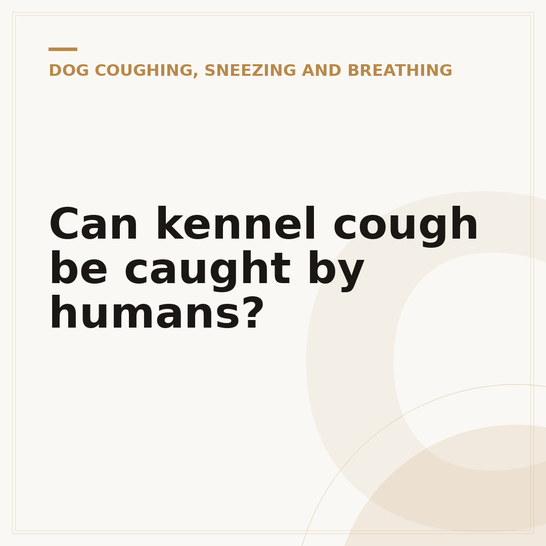 Can kennel cough be caught by humans?