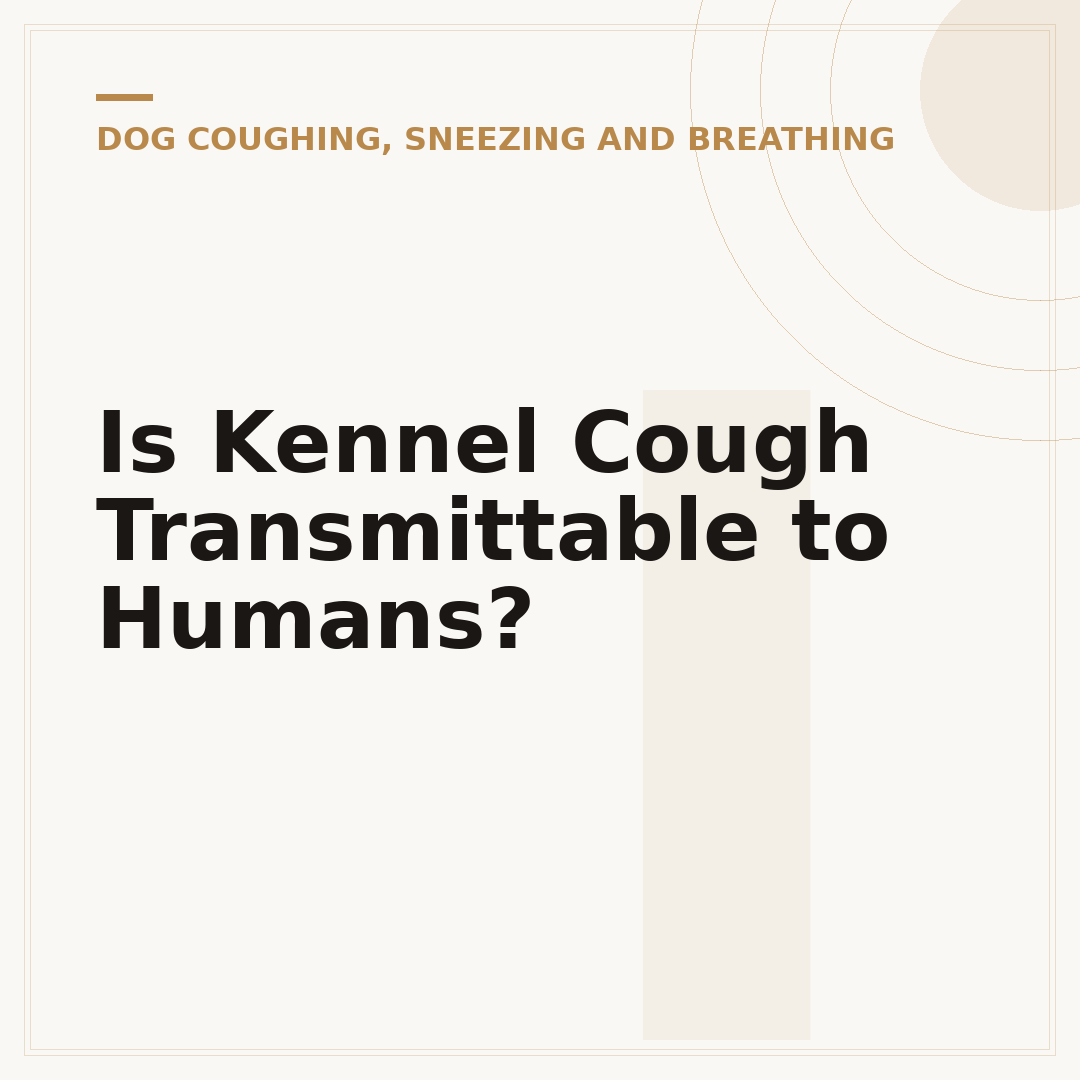 Is Kennel Cough Transmittable to Humans?