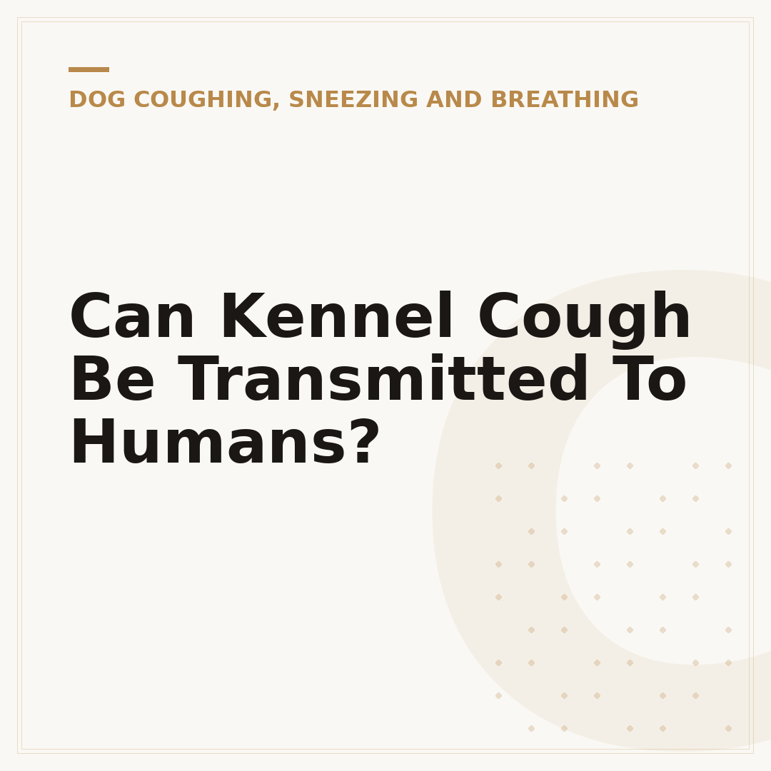 Can Kennel Cough Be Transmitted To Humans?