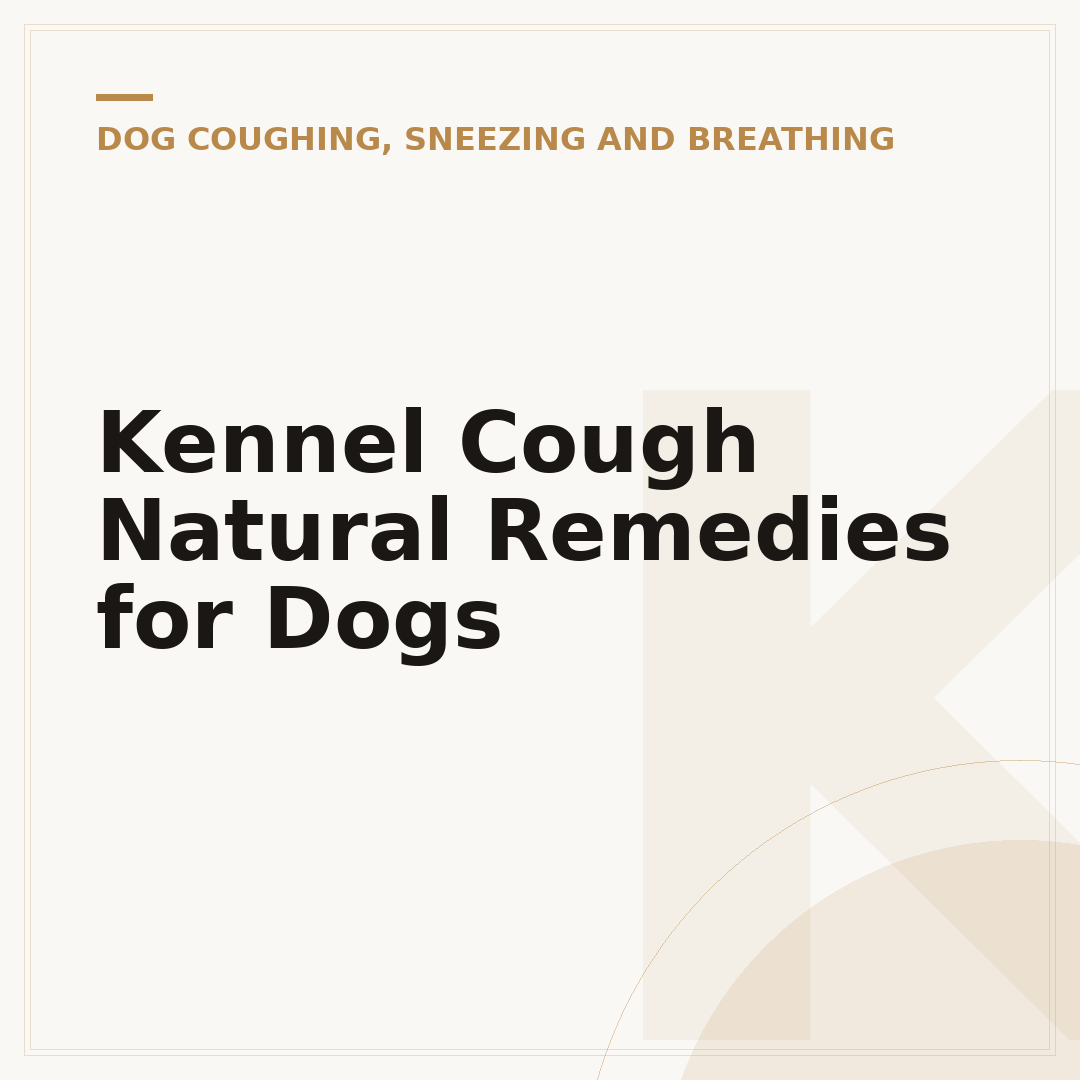 Kennel Cough Natural Remedies for Dogs