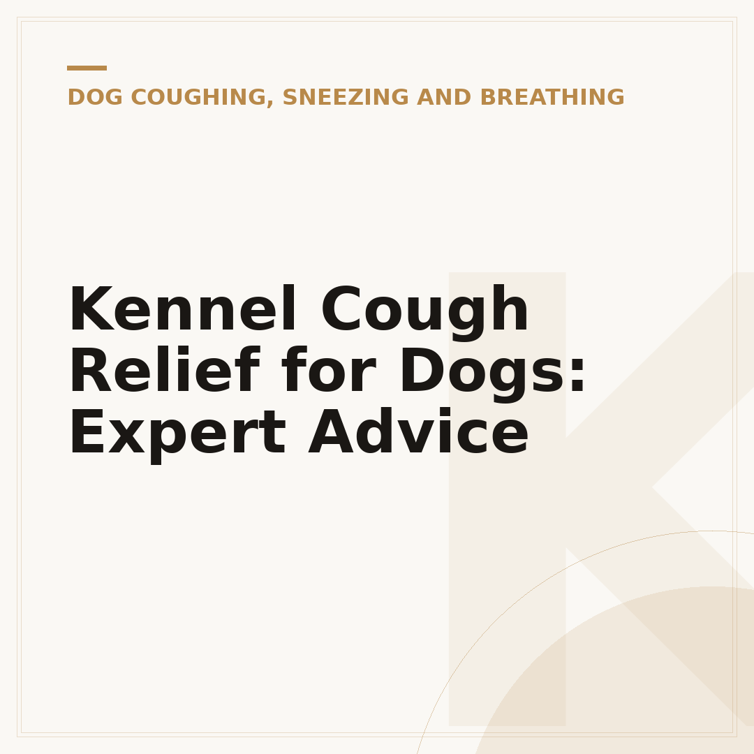 Kennel Cough Relief for Dogs: Expert Advice