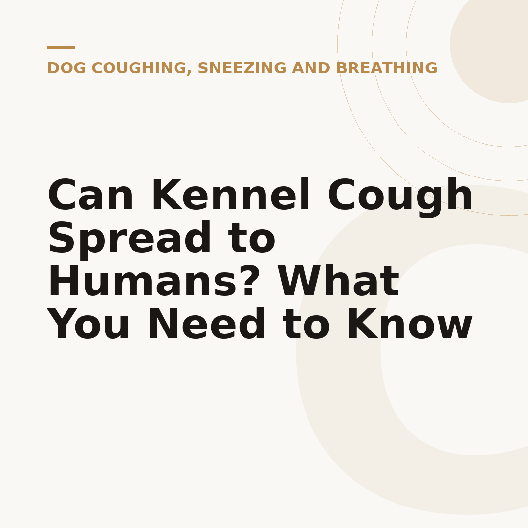 Can Kennel Cough Spread to Humans? What You Need to Know