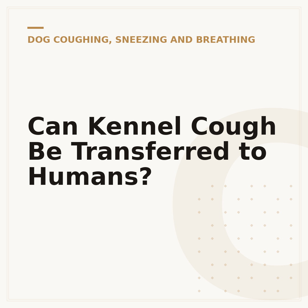 Can Kennel Cough Be Transferred to Humans?
