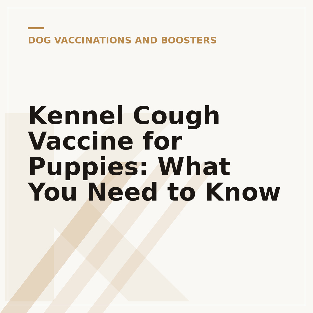 Kennel Cough Vaccine for Puppies: What You Need to Know