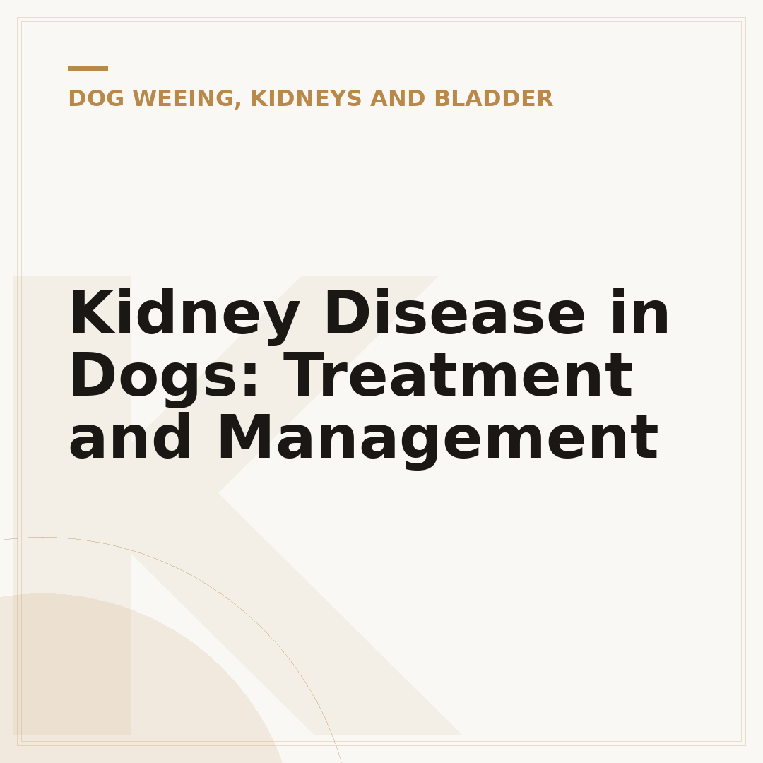 Kidney Disease in Dogs: Treatment and Management