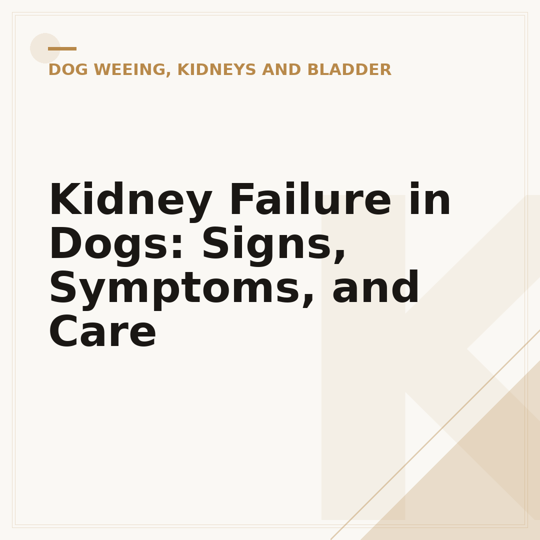 Kidney Failure in Dogs: Signs, Symptoms, and Care