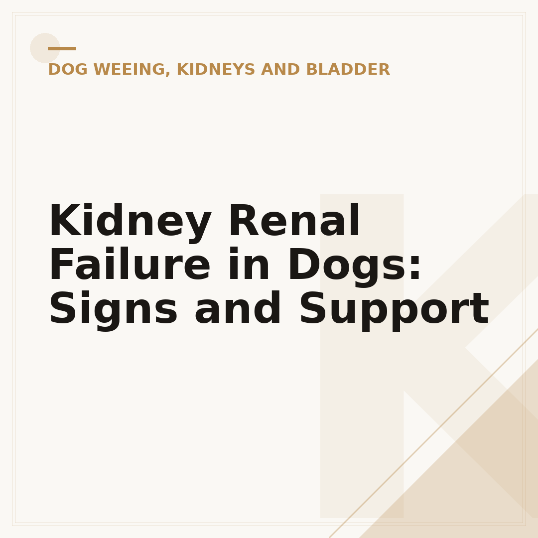 Kidney Renal Failure in Dogs: Signs and Support