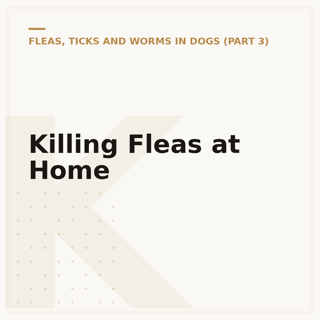 Killing Fleas at Home