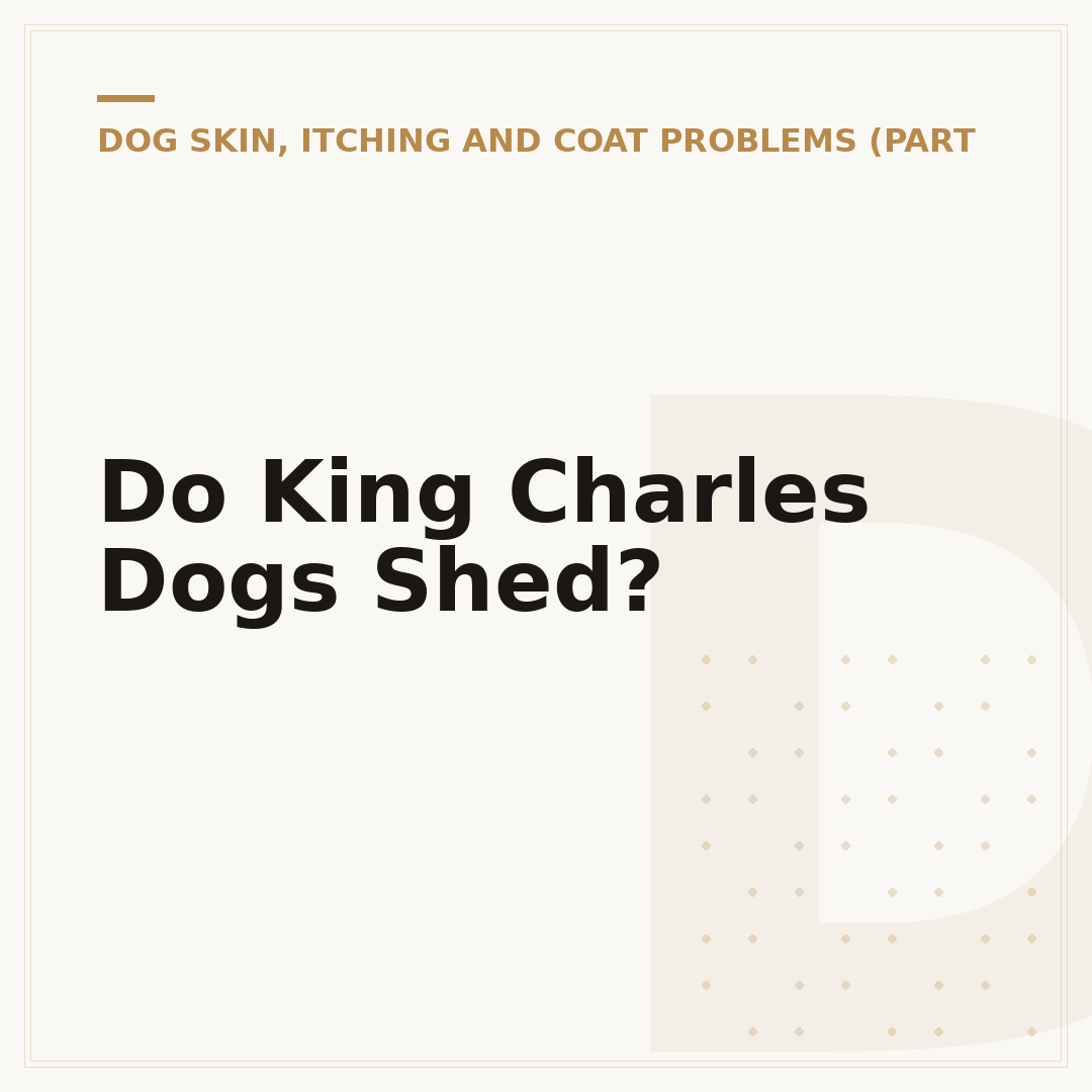 Do King Charles Dogs Shed?