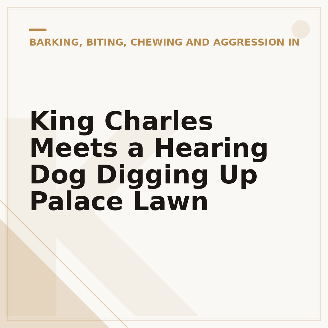 King Charles Meets a Hearing Dog Digging Up Palace Lawn