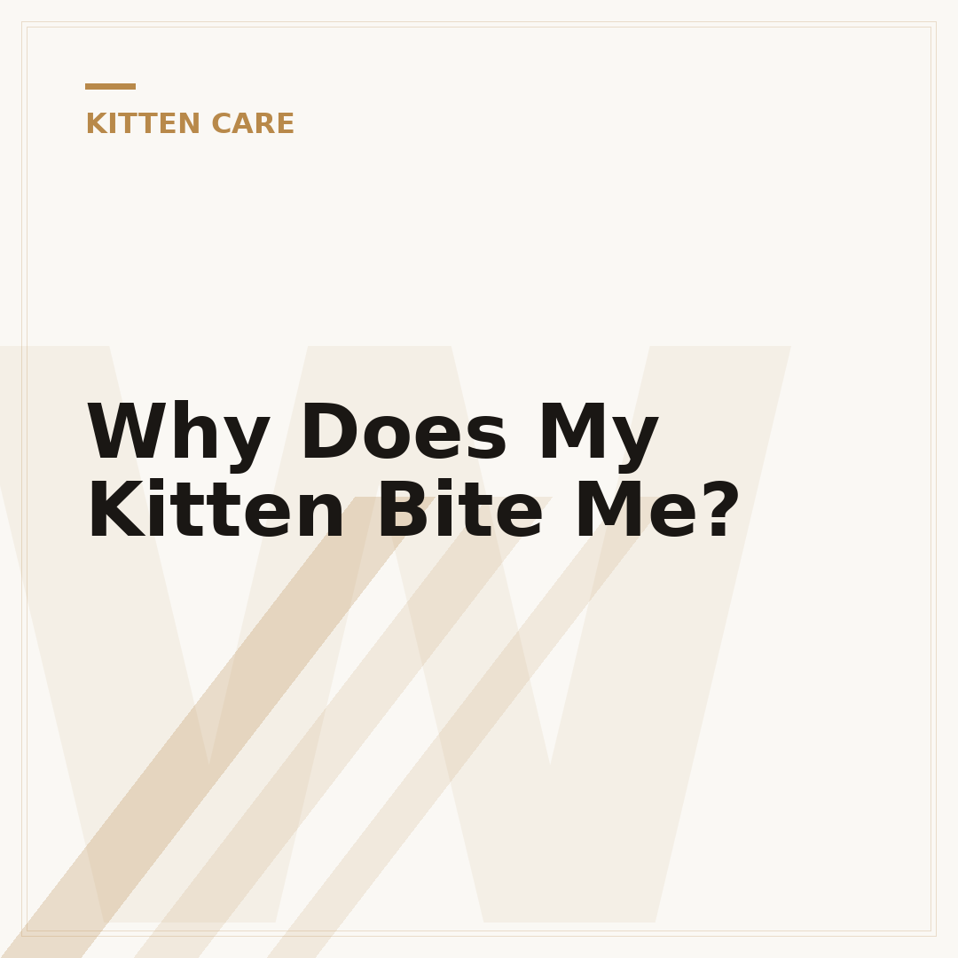 Why Does My Kitten Bite Me?