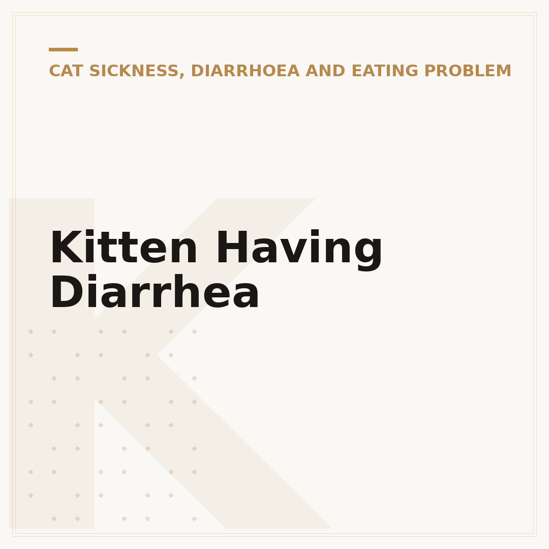 Kitten Having Diarrhea