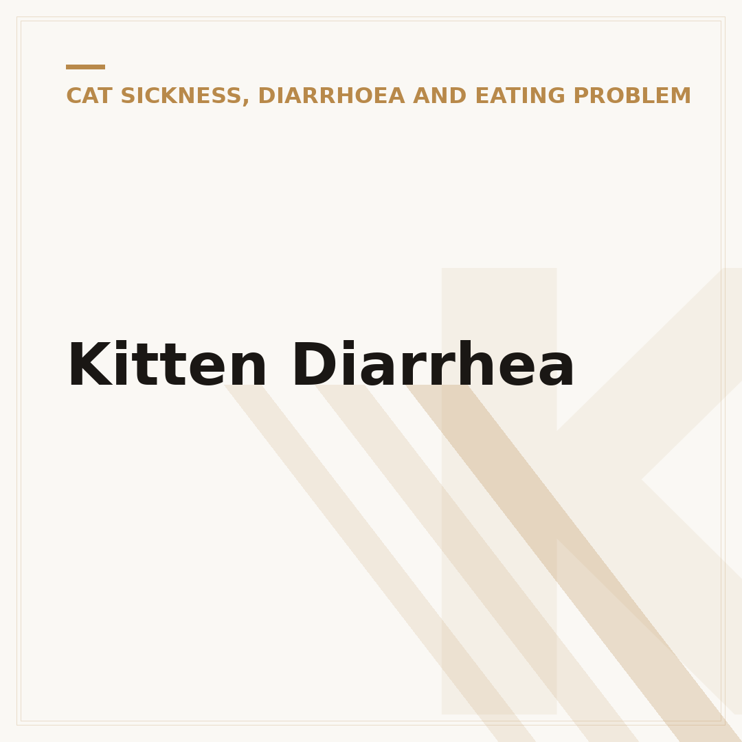 Kitten Diarrhea