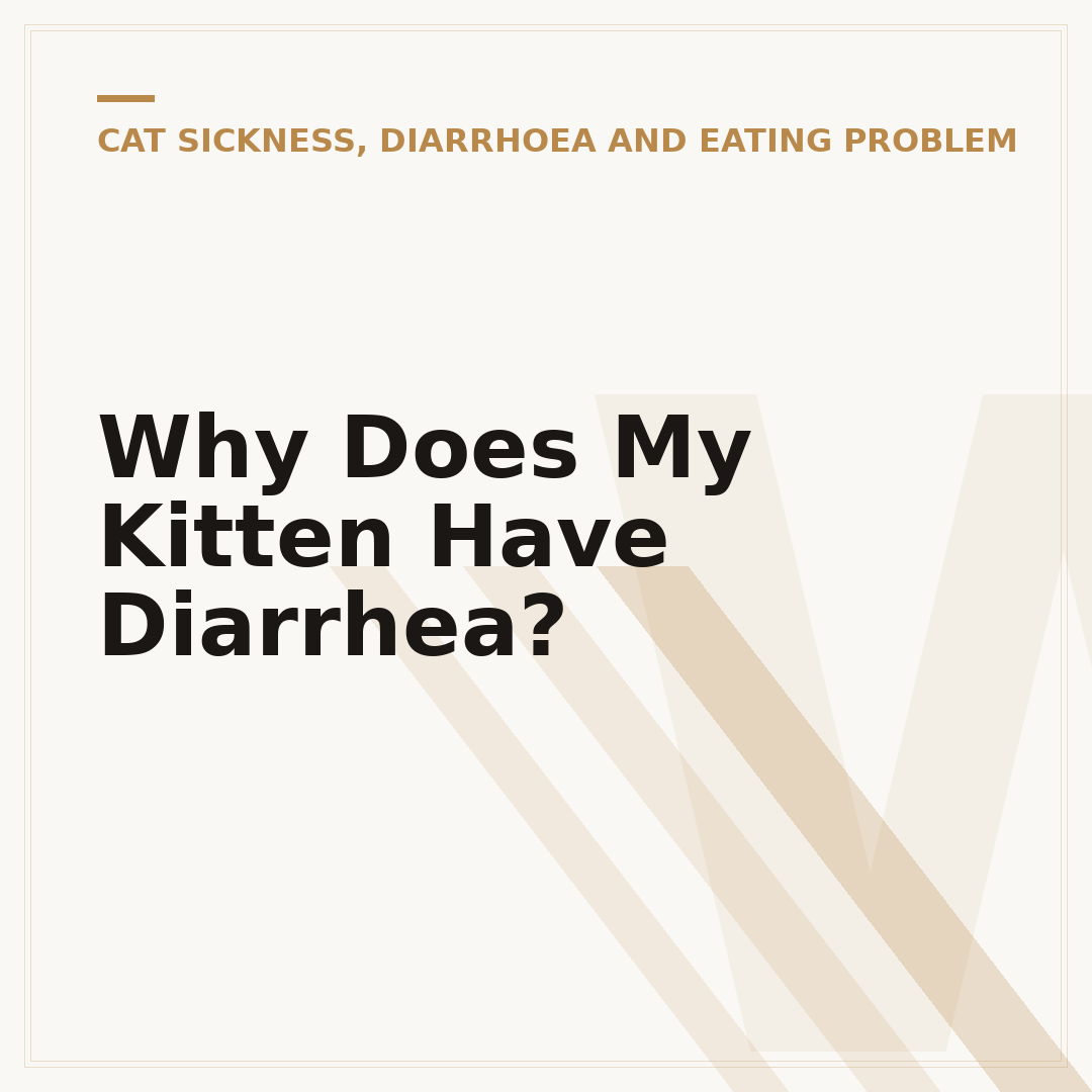 Why Does My Kitten Have Diarrhea?