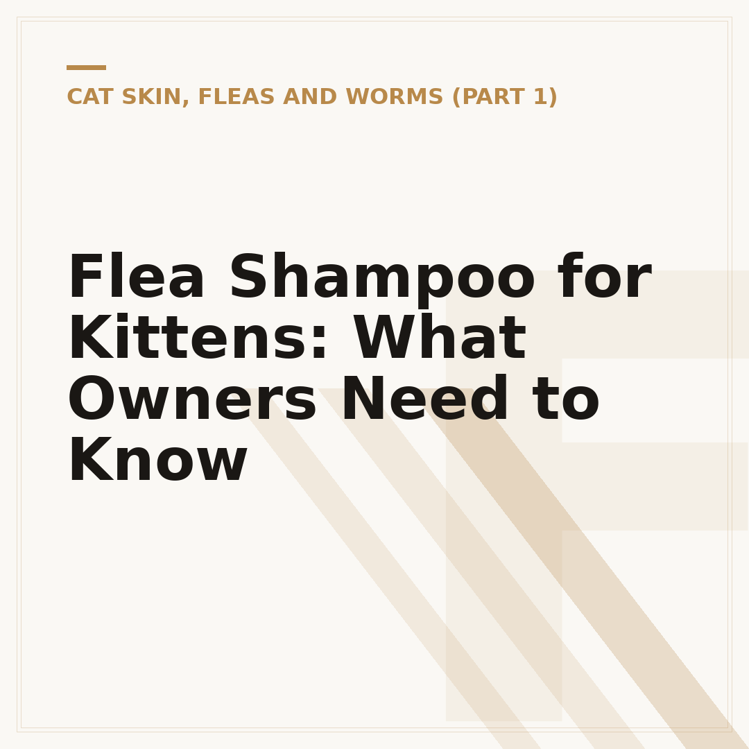 Flea Shampoo for Kittens: What Owners Need to Know