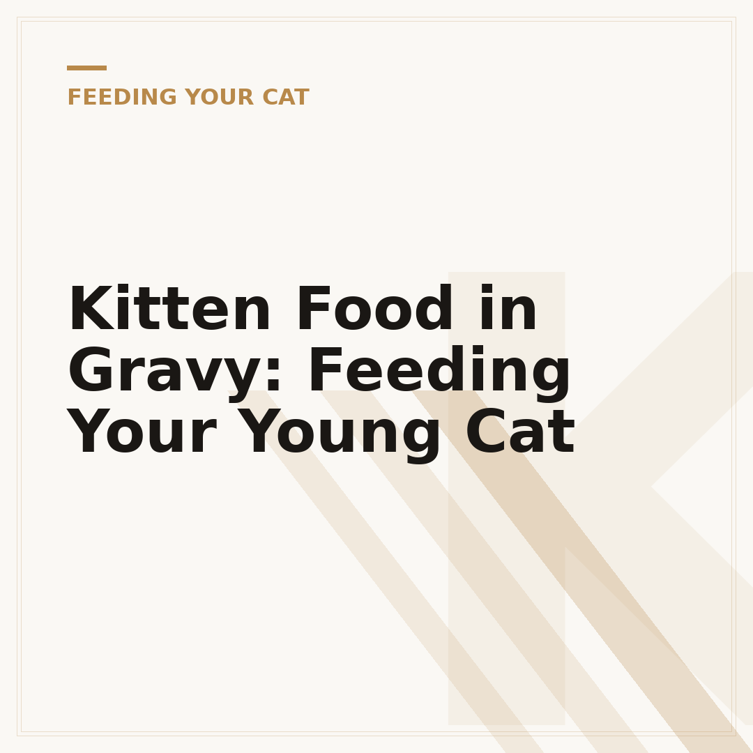 Kitten Food in Gravy: Feeding Your Young Cat