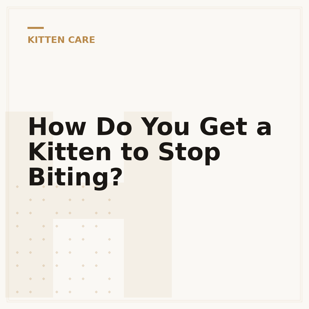 How Do You Get a Kitten to Stop Biting?