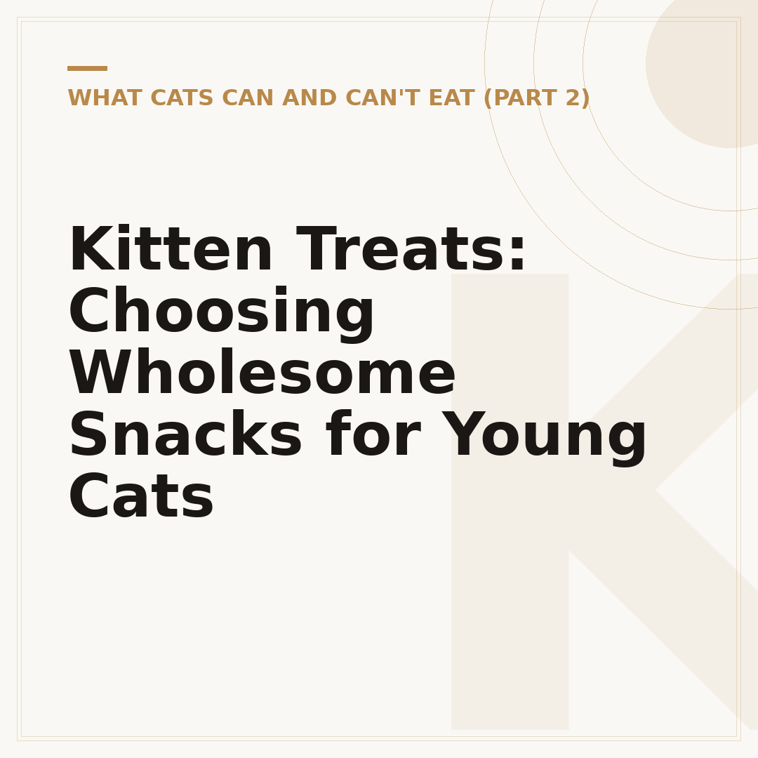 Kitten Treats: Choosing Wholesome Snacks for Young Cats