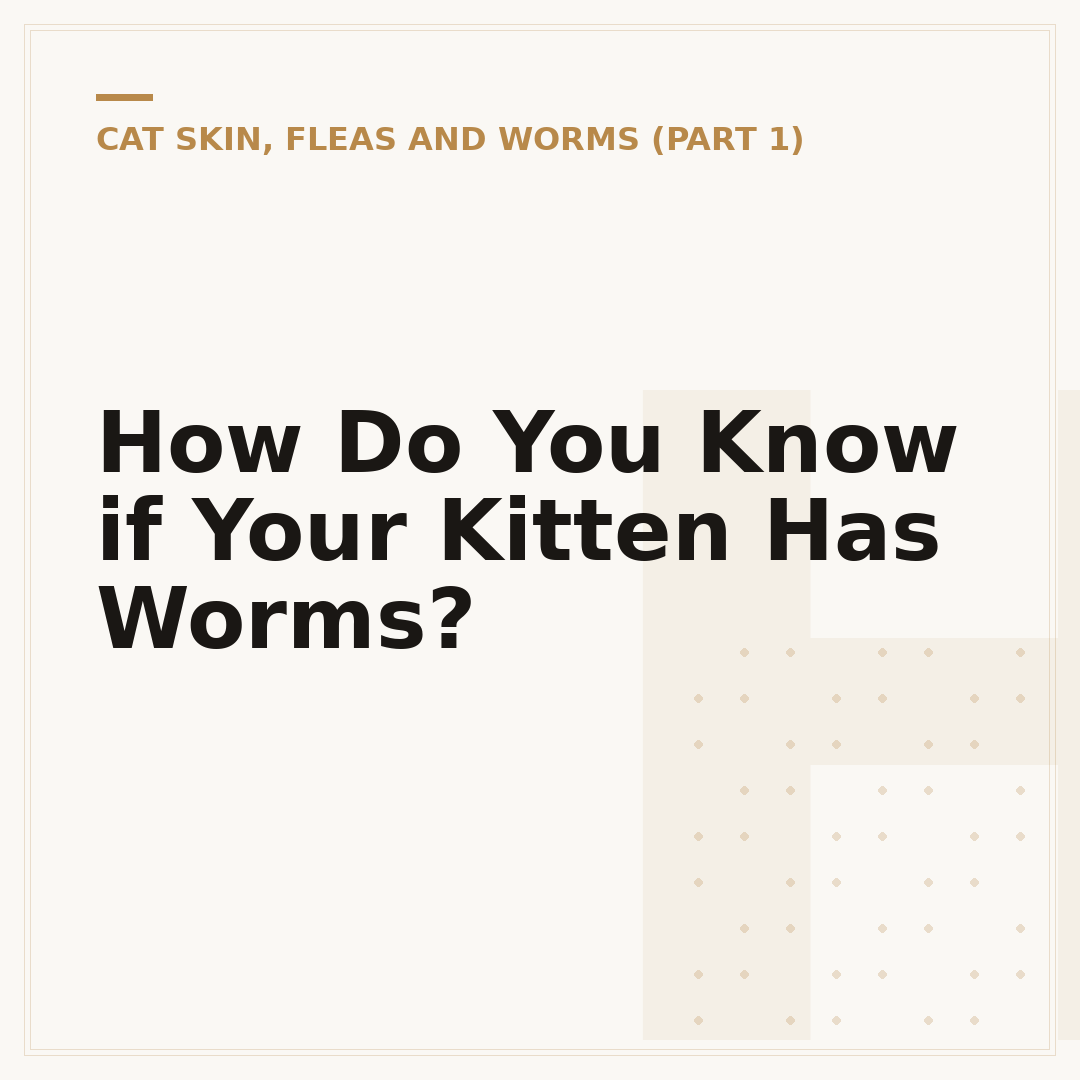 How Do You Know if Your Kitten Has Worms?
