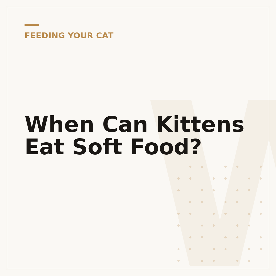 When Can Kittens Eat Soft Food?