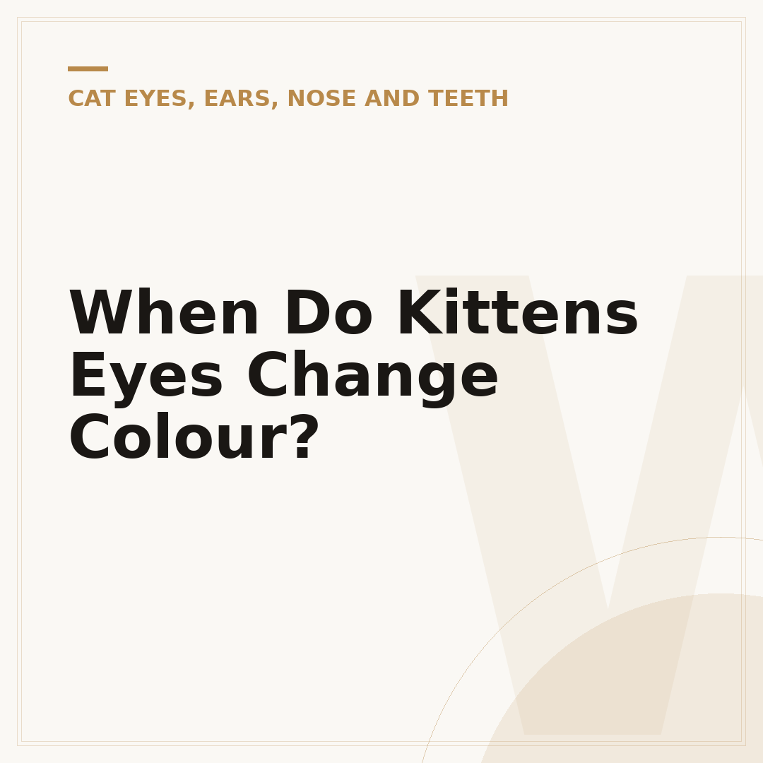 When Do Kittens Eyes Change Colour?