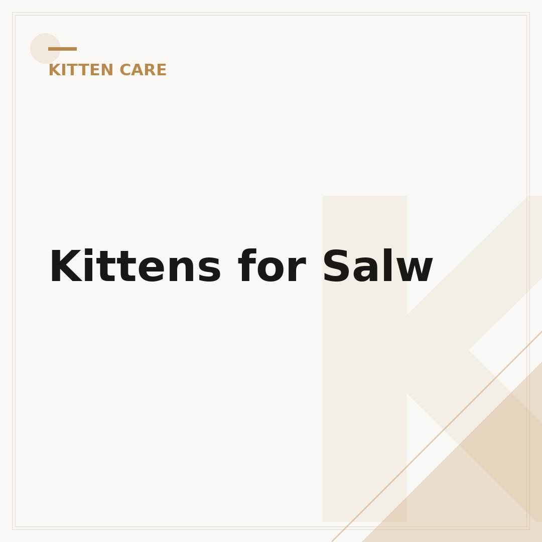 Kittens for Salw