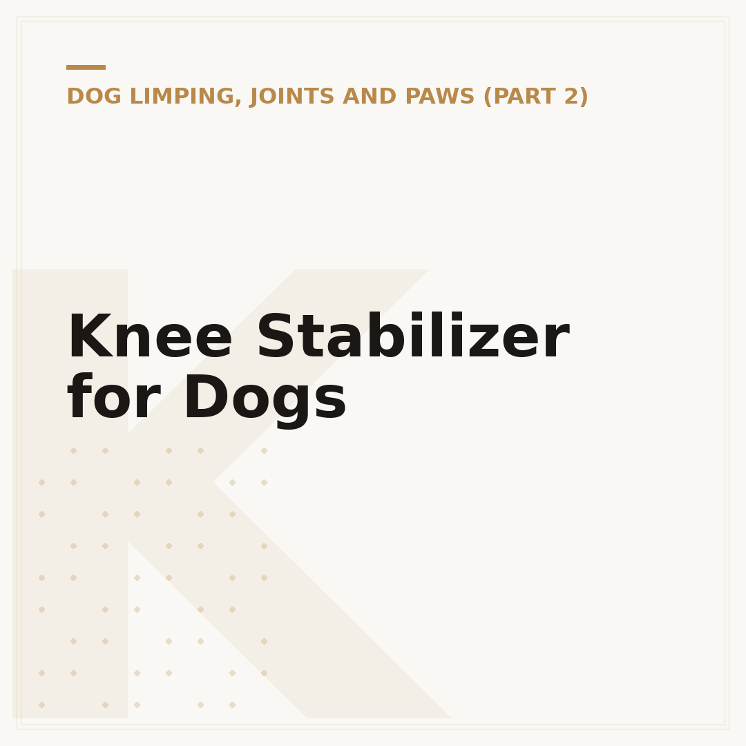 Knee Stabilizer for Dogs