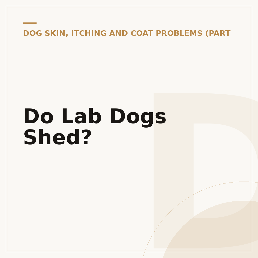 Do Lab Dogs Shed?