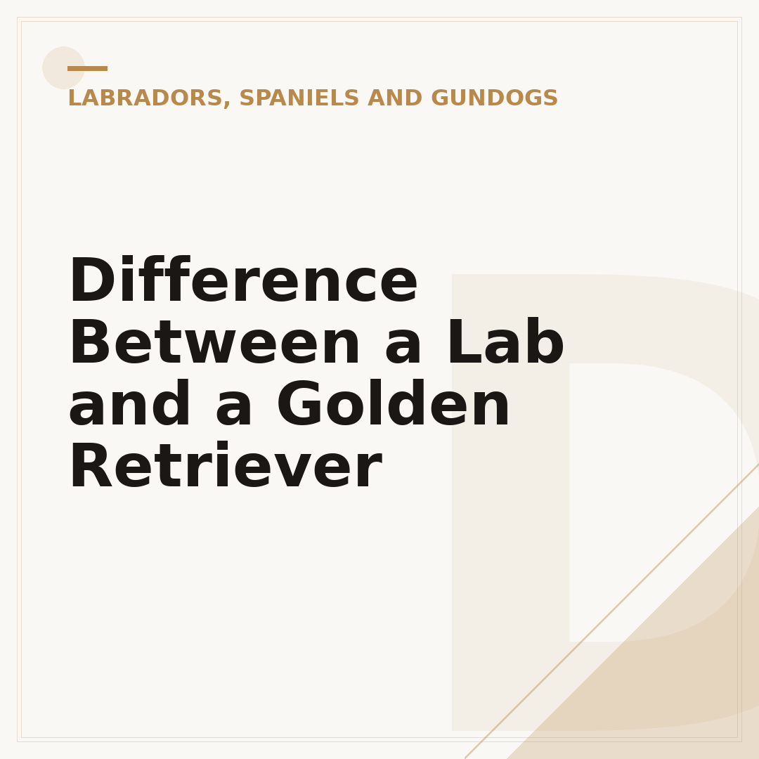 Difference Between a Lab and a Golden Retriever