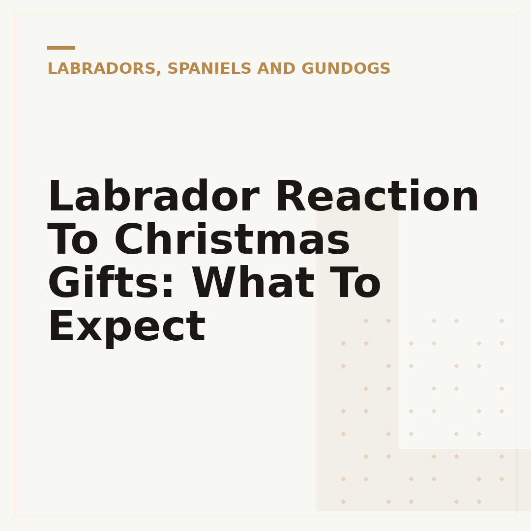Labrador Reaction To Christmas Gifts: What To Expect