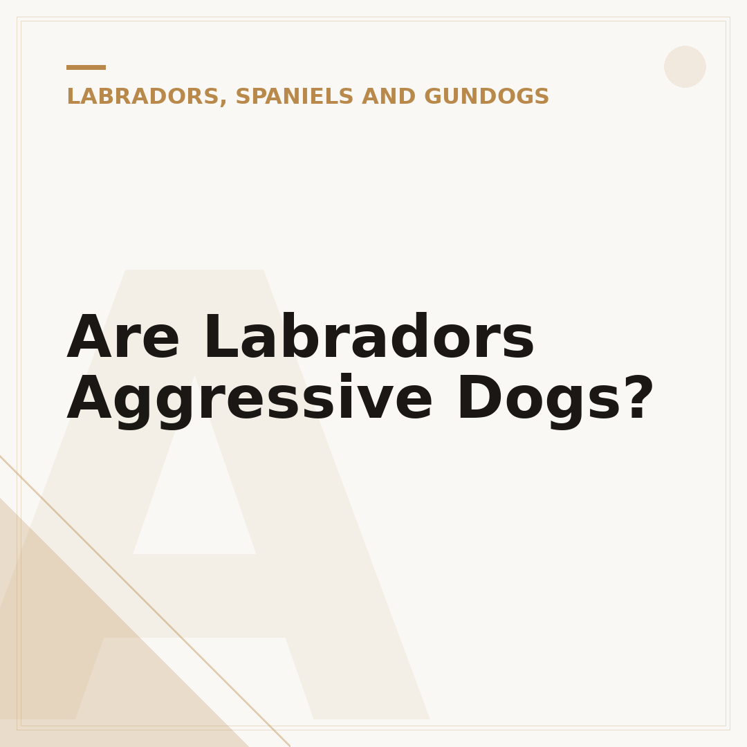 Are Labradors Aggressive Dogs?