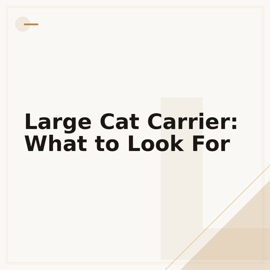 Large Cat Carrier: What to Look For