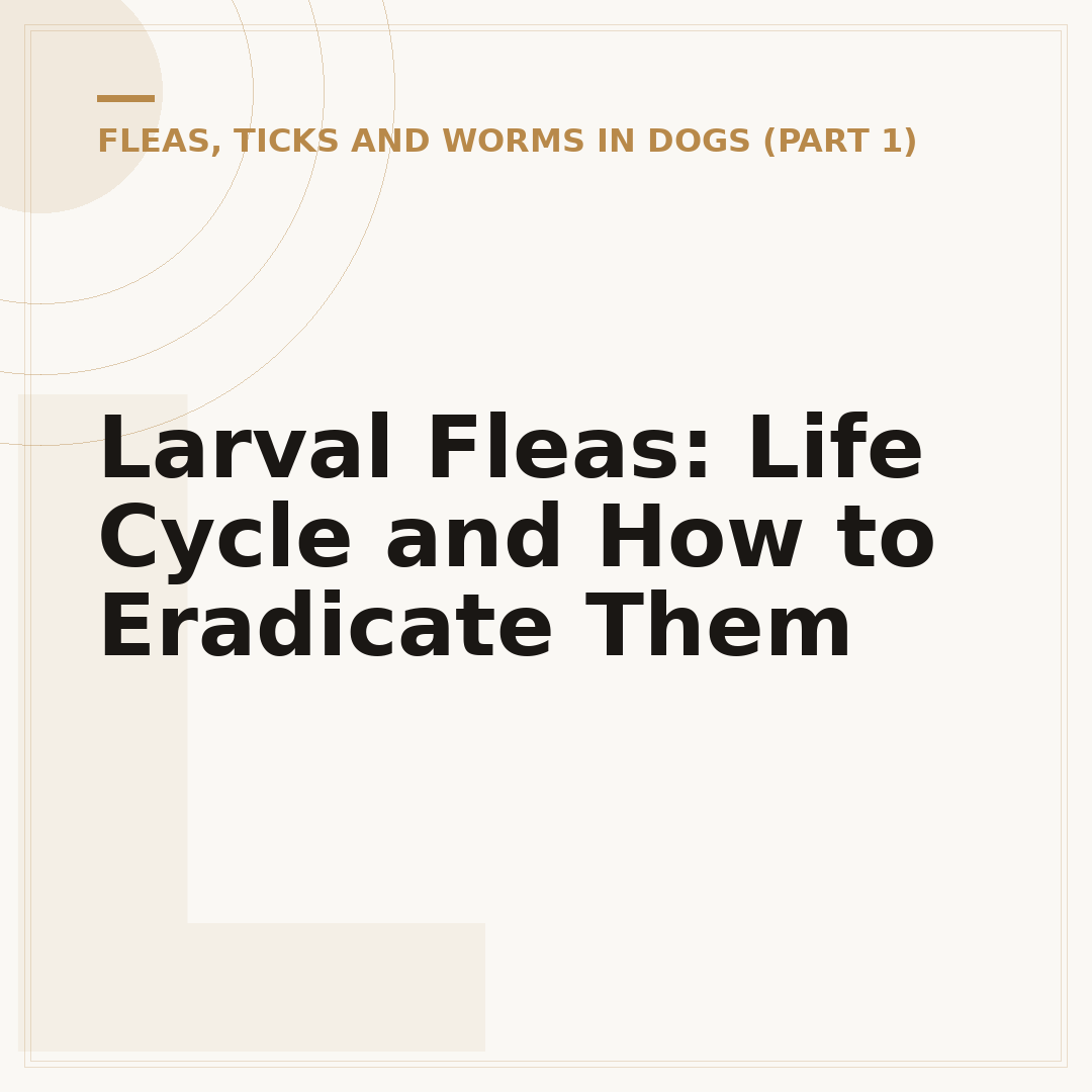 Larval Fleas: Life Cycle and How to Eradicate Them