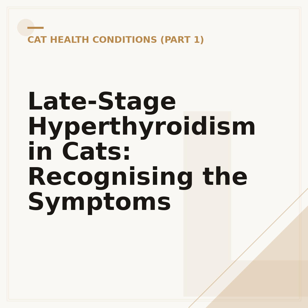 Late-Stage Hyperthyroidism in Cats: Recognising the Symptoms